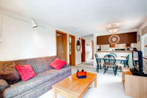 Mark IX #8 - Close to Town - Free Shuttle Breckenridge